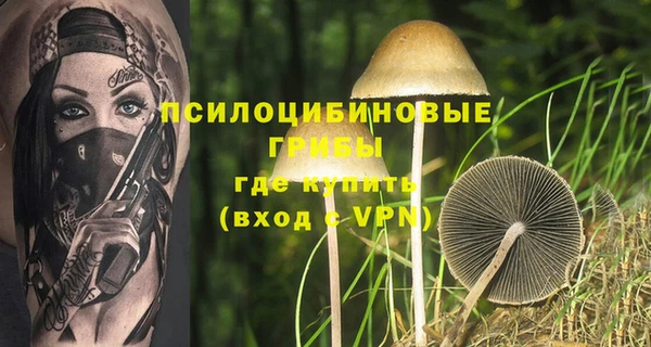 спиды Балабаново