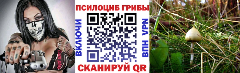 купить  сайты  Галич  Галлюциногенные грибы GOLDEN TEACHER 